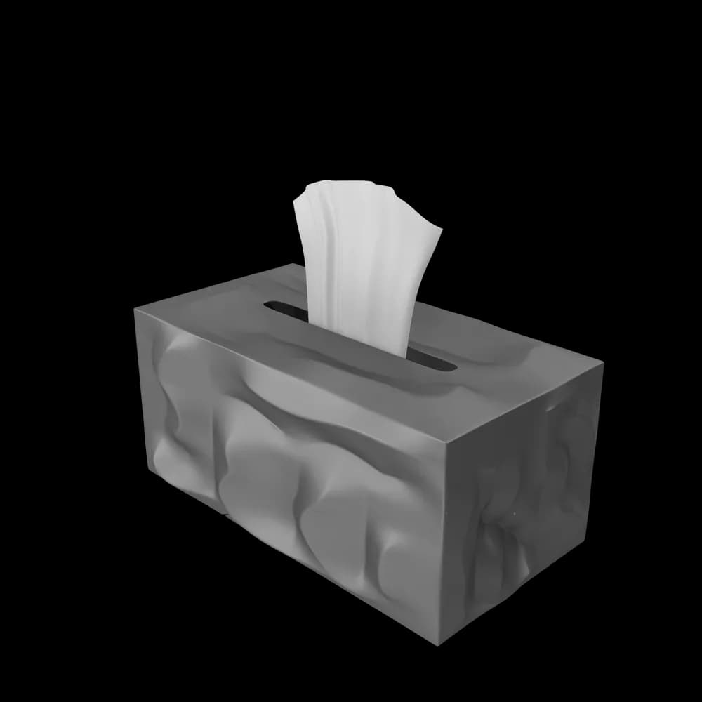 Tissue Paper Box 2