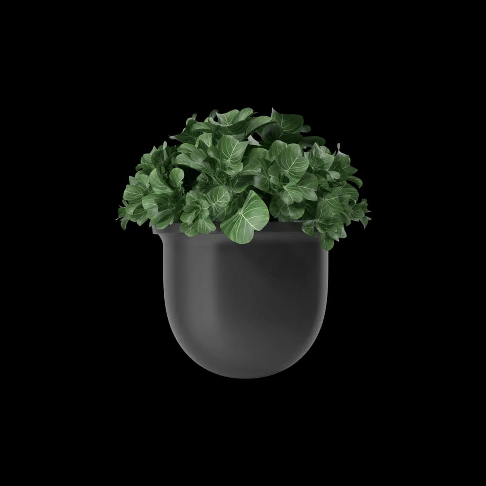 Plant Pot 2